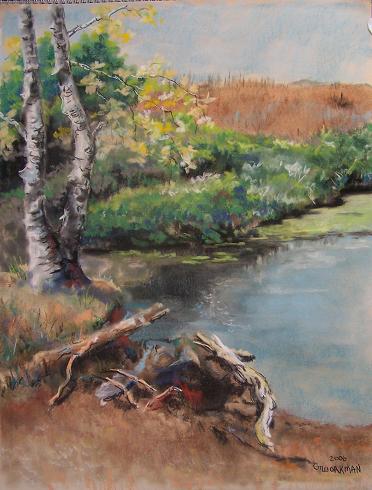 River bank birches.JPG